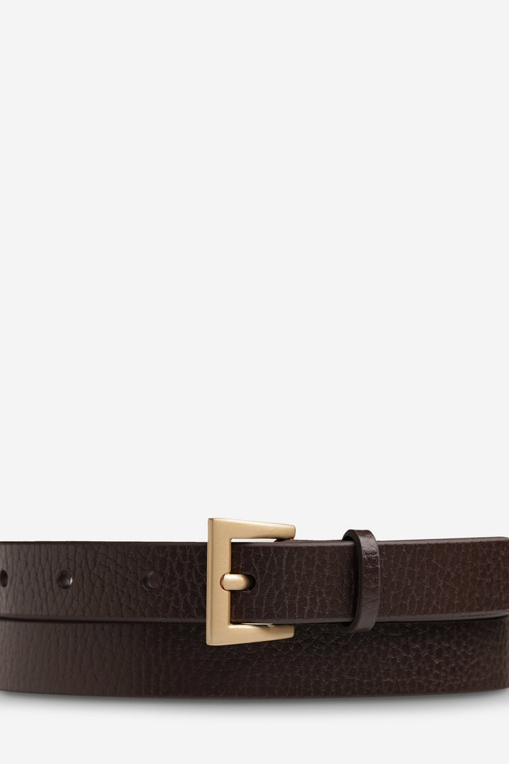Status Anxiety Part Of Me Belt | Choc & Gold