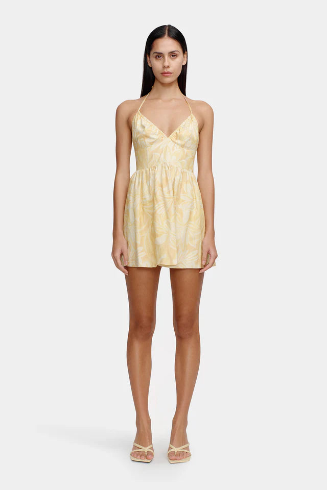 Ownley Winona Mini Dress | Banana Split